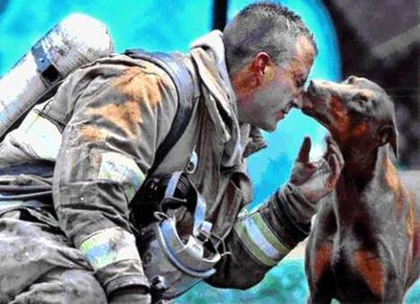 Πυροσβέστης σώζει έγκυο σκυλίτσα...