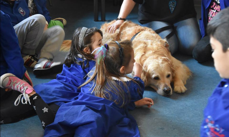 Ιταλία:σκυλιά στα σχολεία
