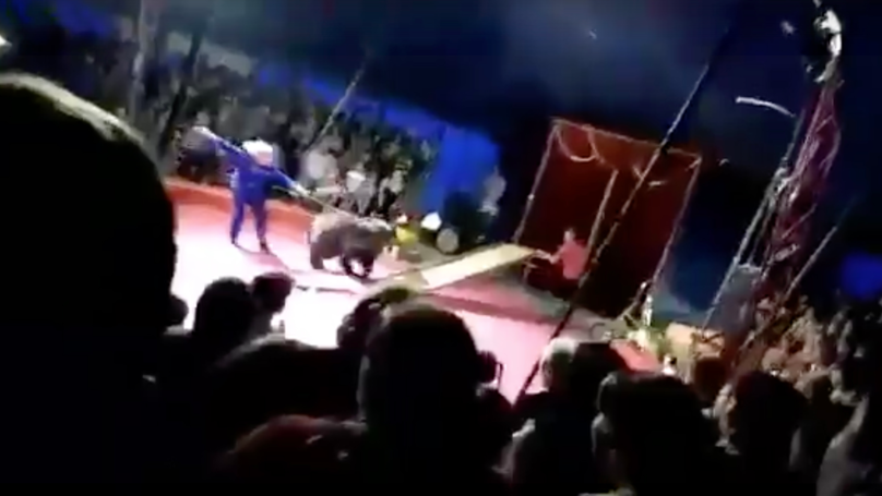 Αίσχος σε τσίρκο της Ρωσίας.