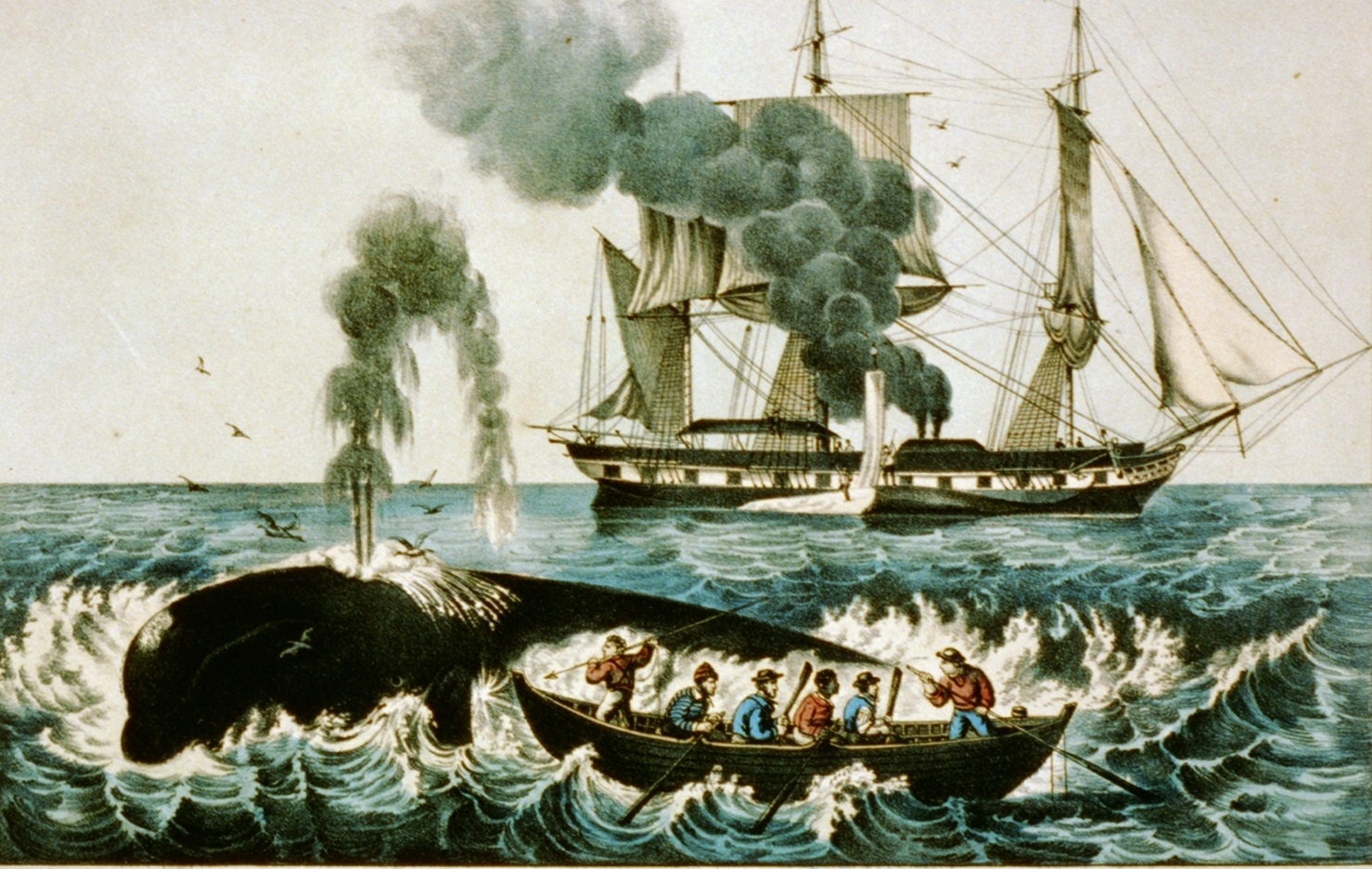 Αναμένονται «ναυμαχίες» για την προστασία των φαλαινών